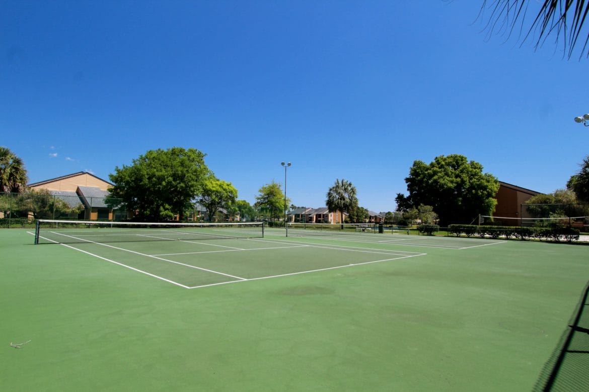 Play a game of tennis with friends,
